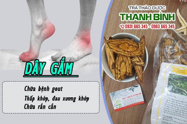 Dây Gắm Khô 1KG - Đông Y Thanh Bình