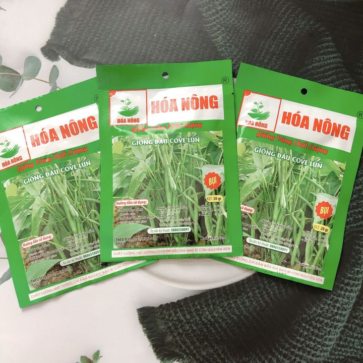 Hạt giống đậu cove lùn HN gói 20gr