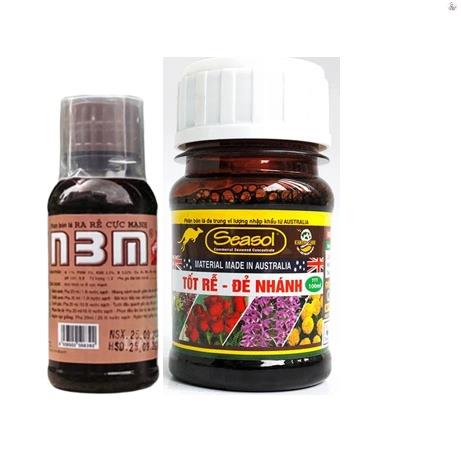 Bộ đôi phân bón n3m 100ml + phân đạm cá seasol 100ml - bộ sản phẩm kích rễ chồi cực mạnh cho cây trồng