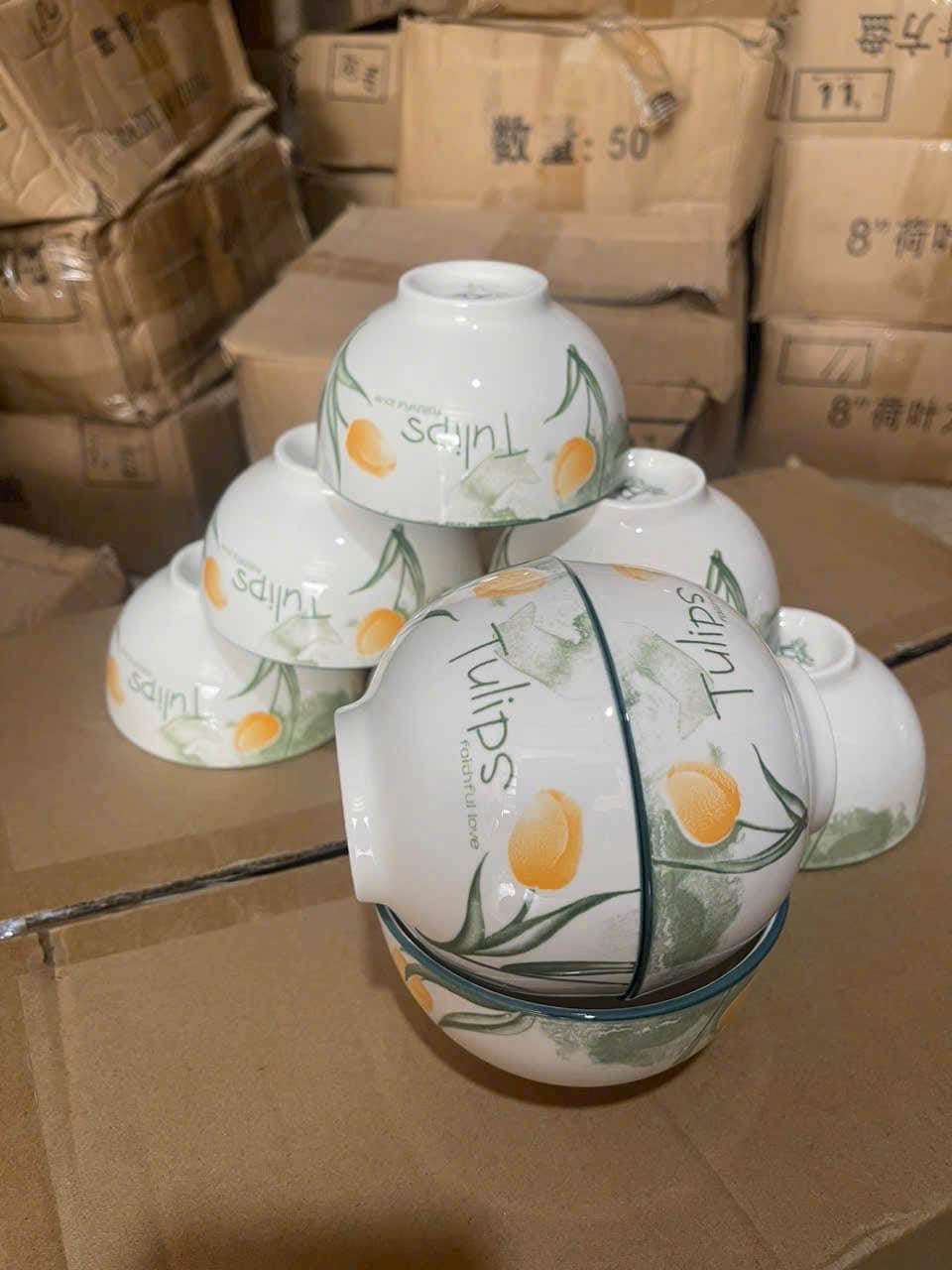 Set 10 bát con ăn cơm 4D