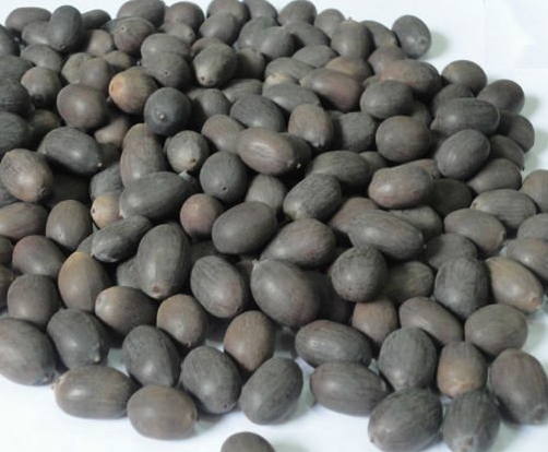 Hạt sen khô đồng tự nhiên, 500gr