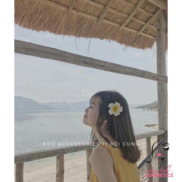 HOA ĐẠI CÀI TÓC ĐI BIỂN LOẠI TO