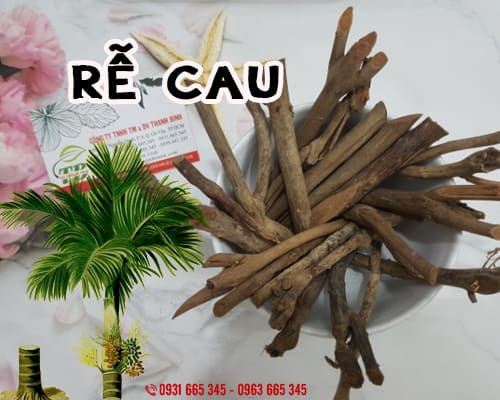 Rễ Cau Khô 1KG - Đông Y Thanh Bình