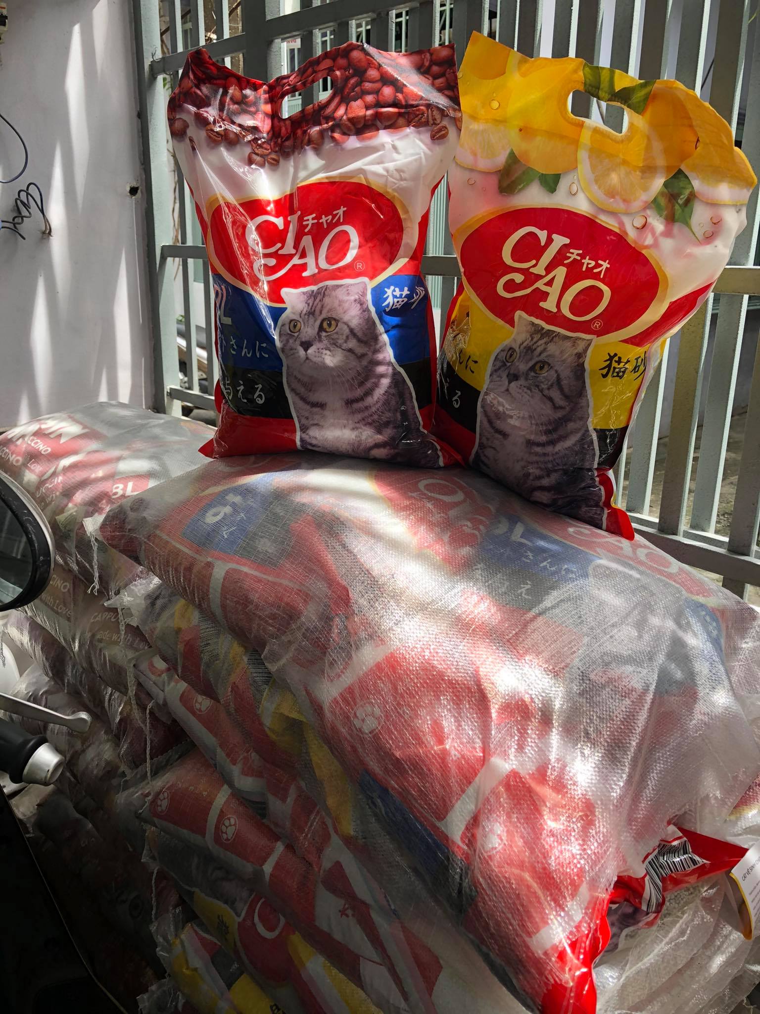 Cát vệ sinh cho mèo cát Ciao 9L ( 4kg)