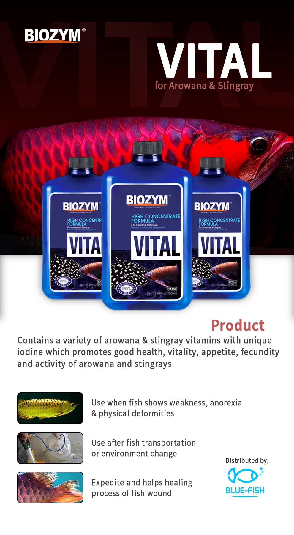 Biozym Vital - Vitamin cần thiết cho cá cảnh