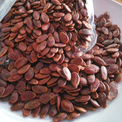 Hạt Dưa Không Màu - Sạch - Ngon - 100G
