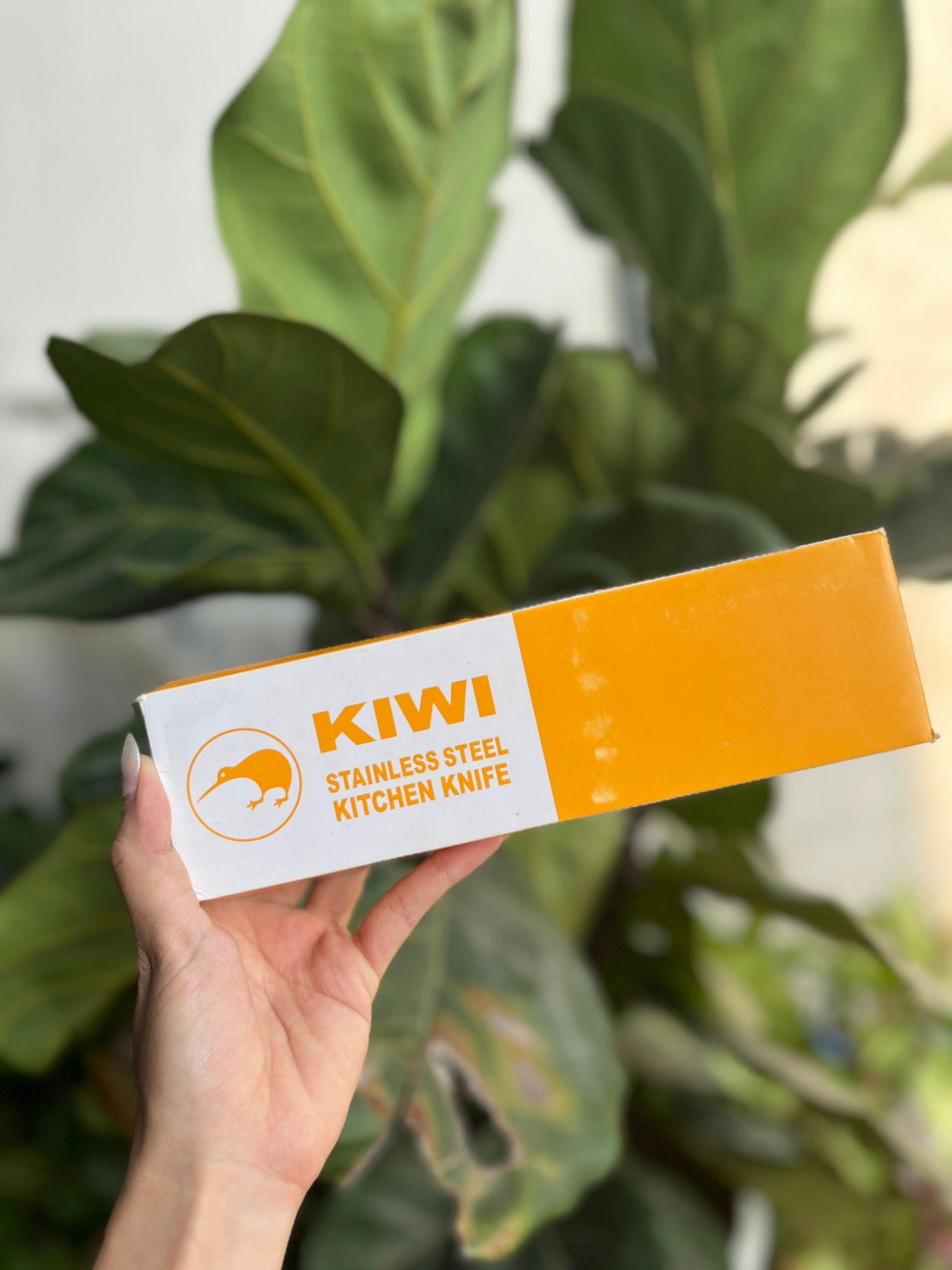Dao Gọt Hoa Quả Kiwi Thái Lan Cán Vàng