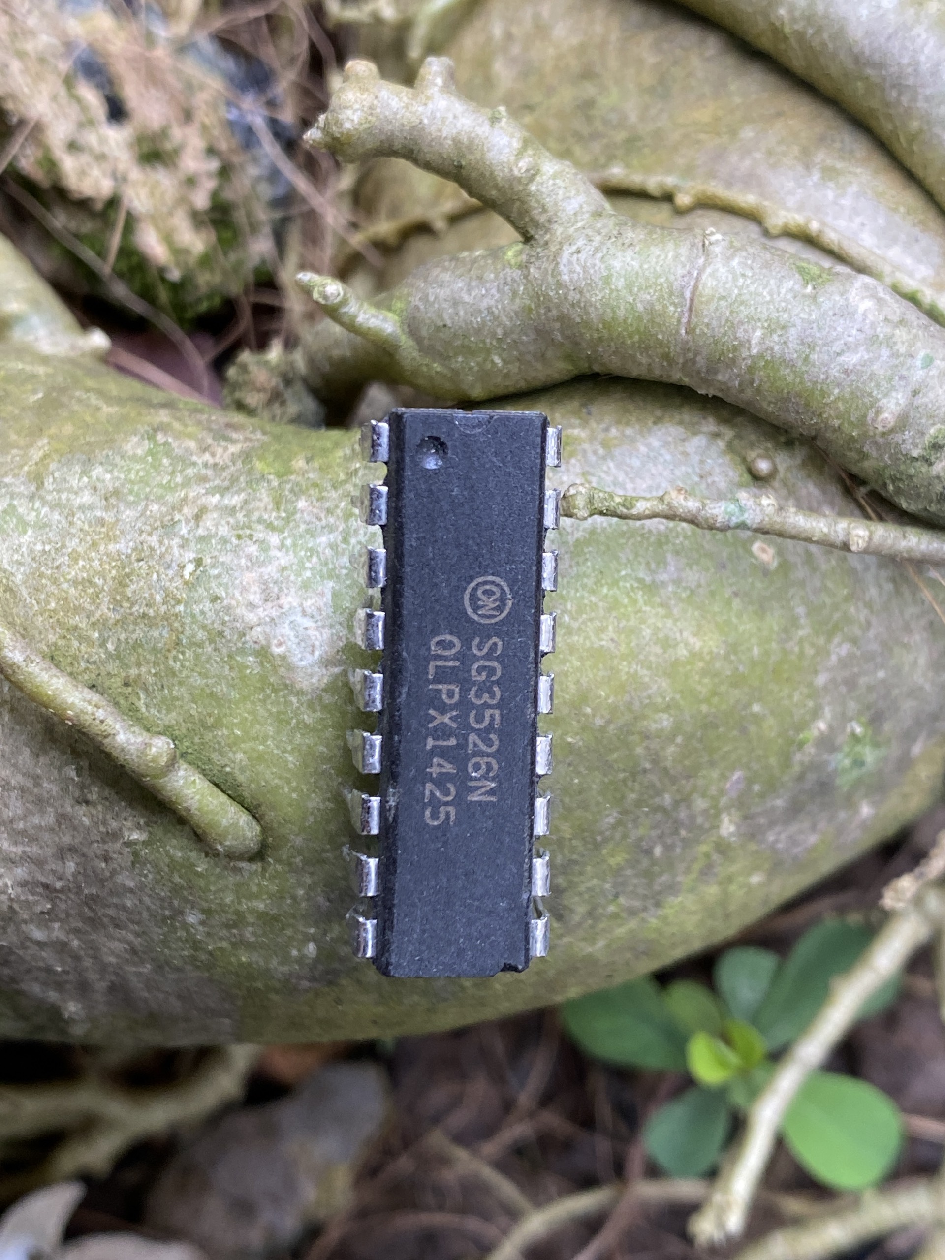 2 con IC dao đông SG3526