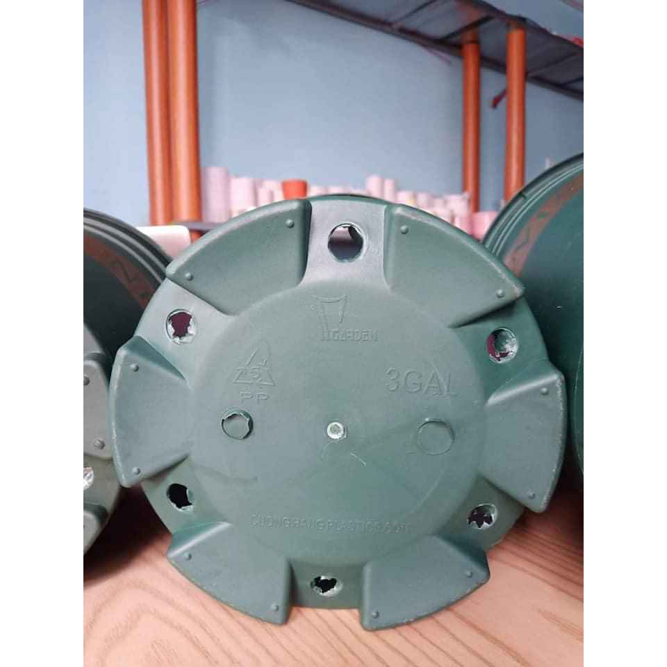 {VIP}Combo 5 chậu 5gallon MONROVIA siêu đẹp