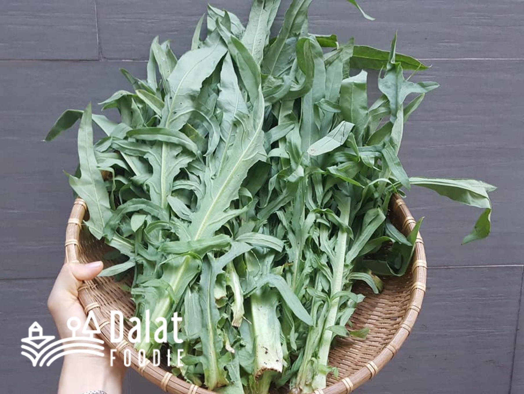 Bồ Công Anh Hữu Cơ 250g- [Giao hàng ngay tại TPHCM]