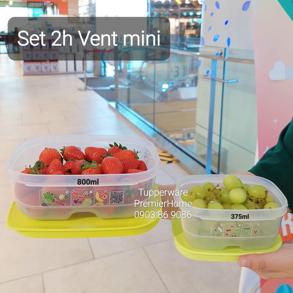 Set 2 Hộp Trữ Mát Có Nút Hô Hấp Vensmart (375ML, 800ML)
