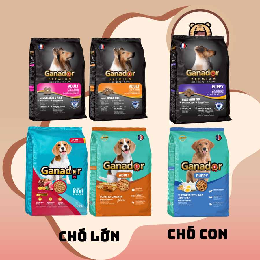 400g - Thức ăn cho chó Fibs