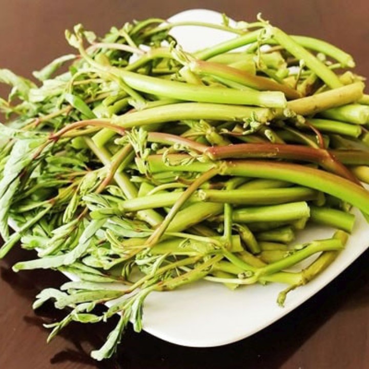 Hạt giống Rau nhút gói 1gr