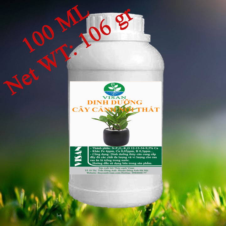Phân bón cây cảnh nội thất