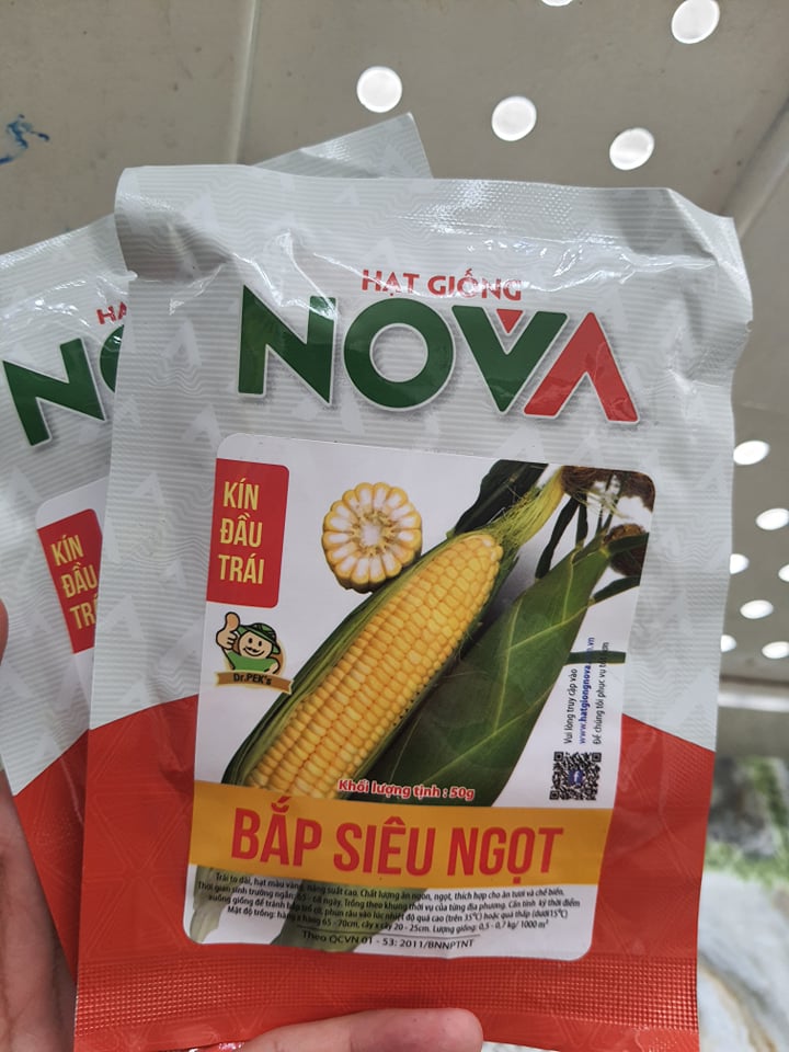 Hạt giống bắp siêu ngọt vàng - 1 gói 50gram