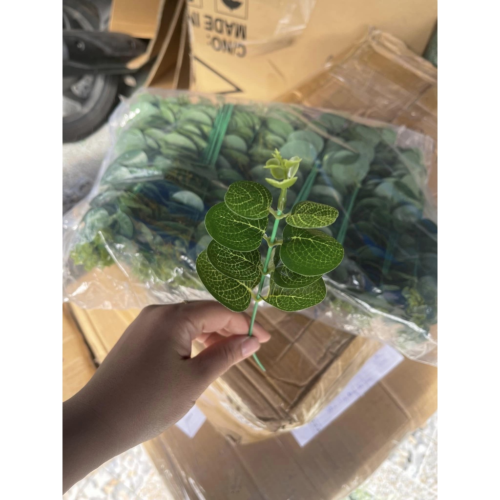 10 nhánh lá táo rời cắm hoa