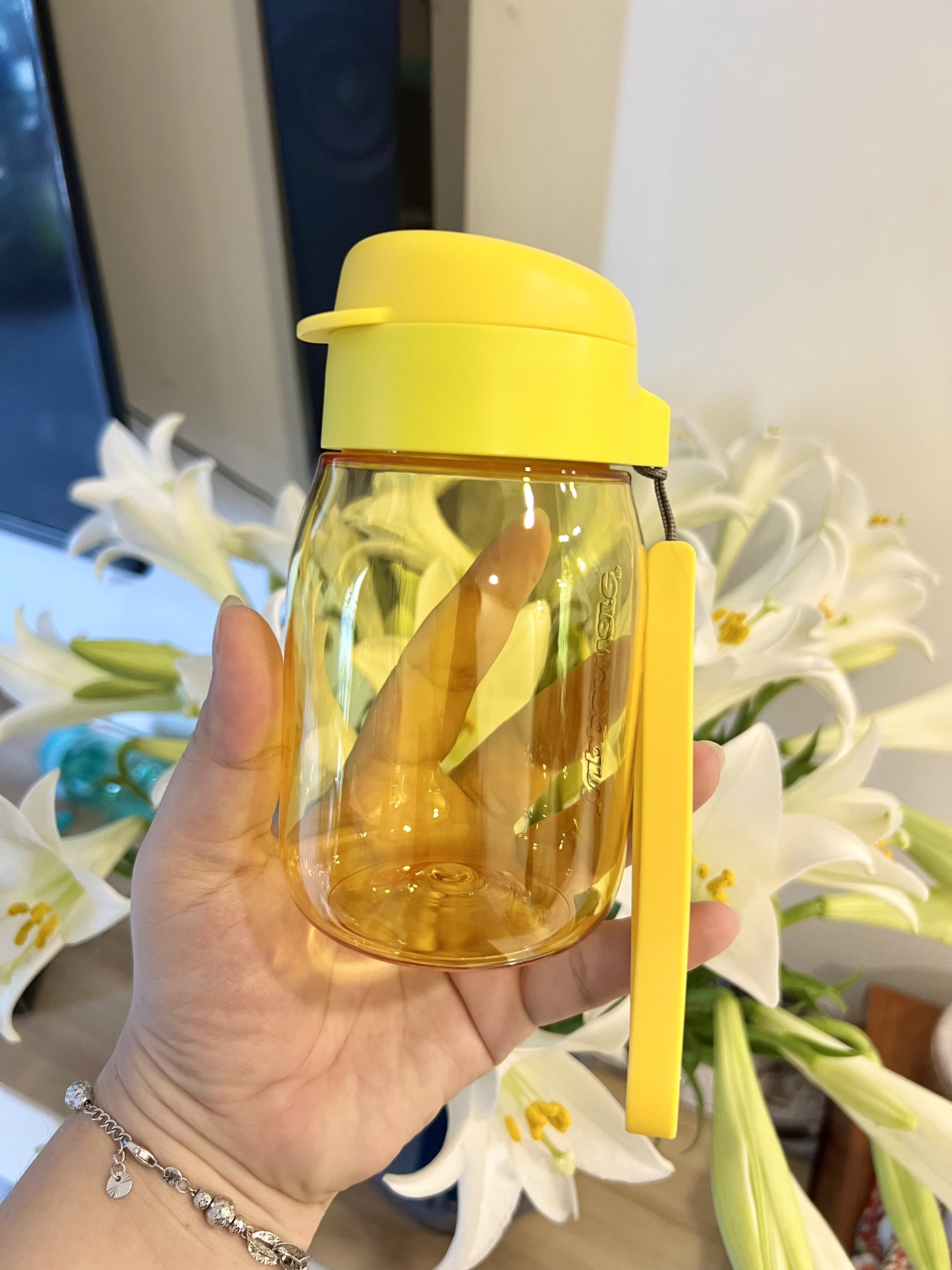 Bình Nước Tupperware Mini Lohas 350ml