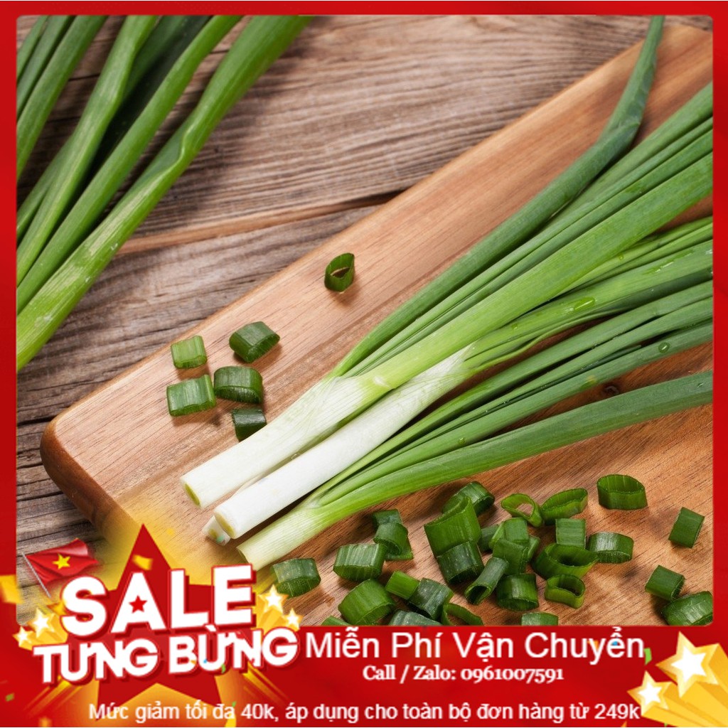 Hạt Giống Hành Lá - 5 Gram Hạt