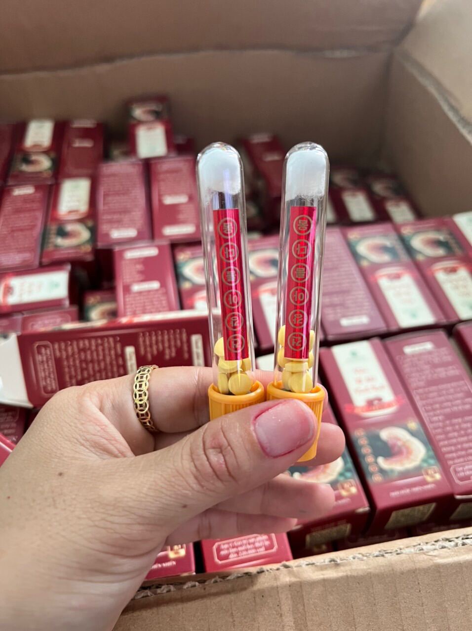 Viên Xổ Mỡ Vành Ruột – linh chi đỏ