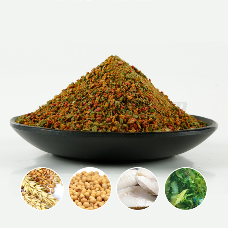Mồi Hua Chép Vương