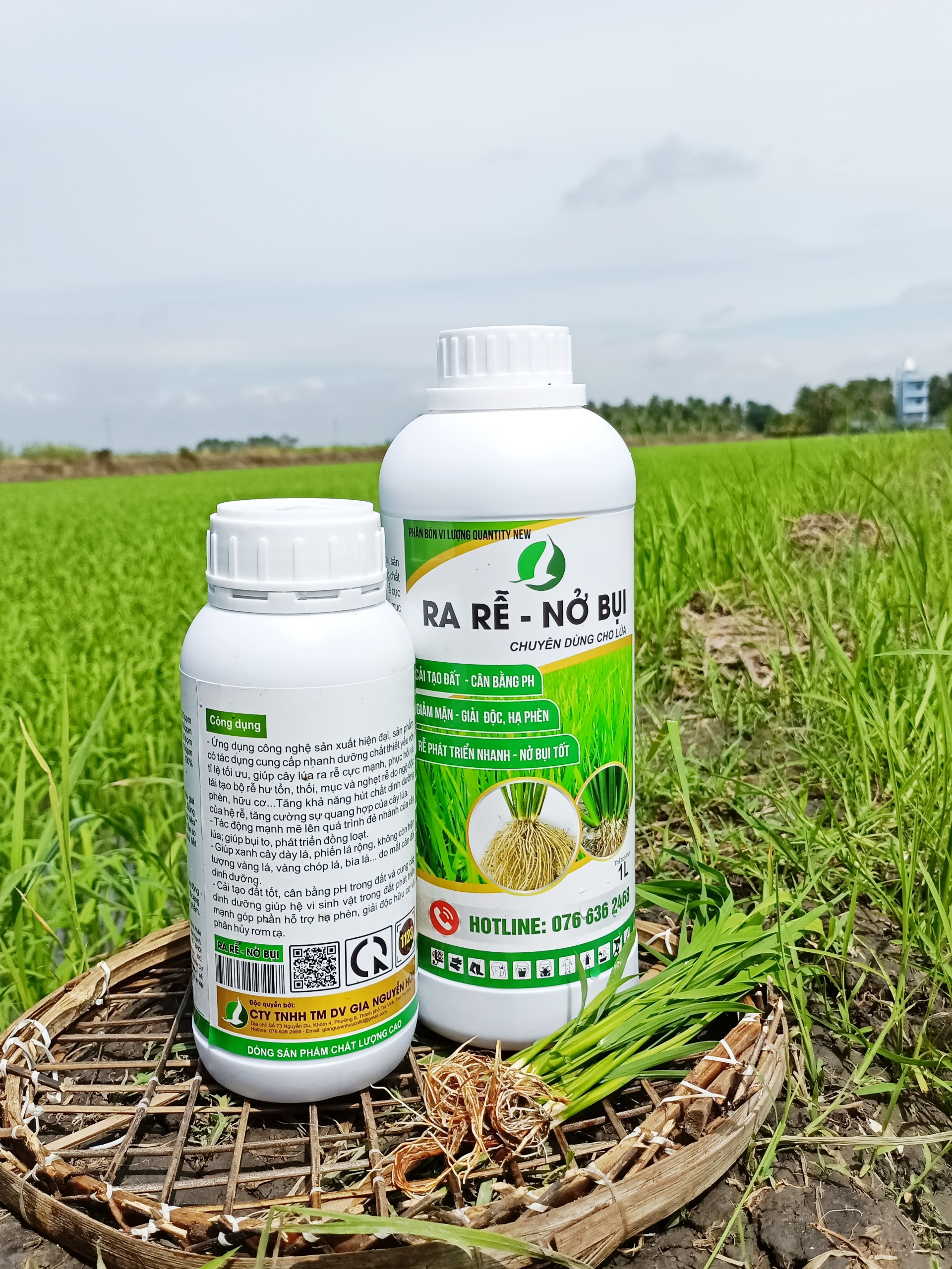 RA RỄ NỞ BỤI, ĐẺ NHÁNH CHUYÊN DÙNG CHO LÚA - CHAI 500ML VÀ 1LÍT