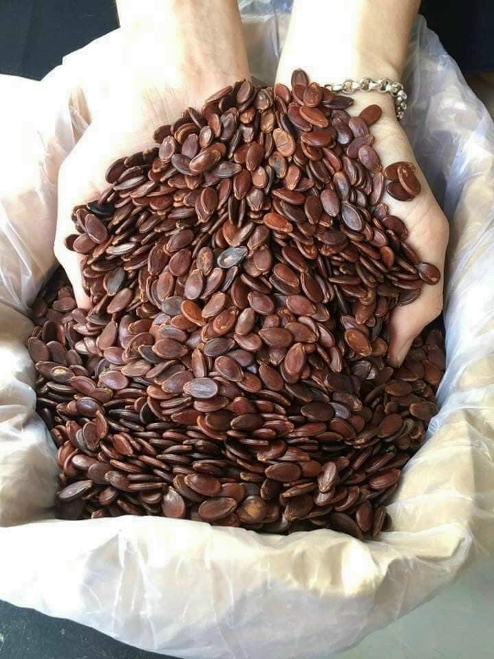 Hạt Dưa Không Màu Tứ Hưng Loại 1 Bao Bì Mới