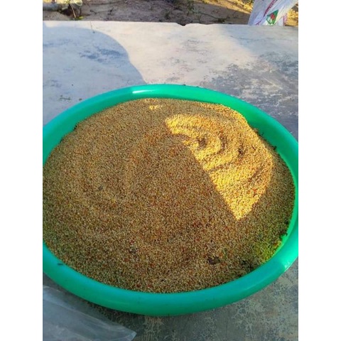 Phấn Hoa Cà Phê Nguyên Chất