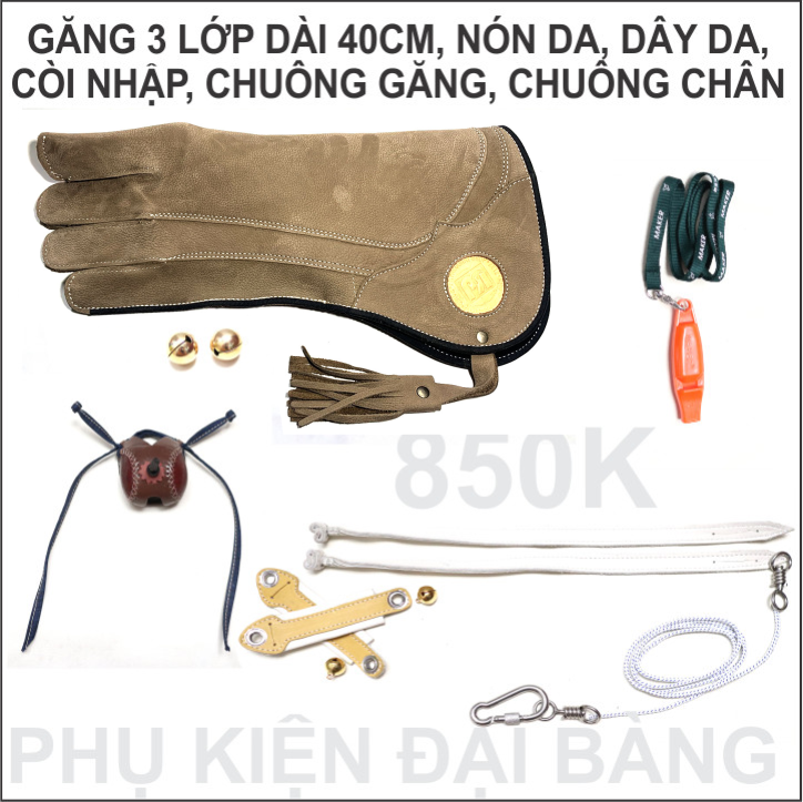 [HCM]Phụ kiện đại bàng ưng