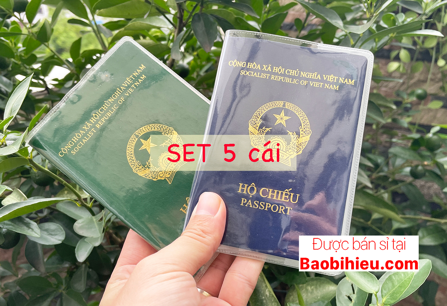SET 5 Bọc bìa passport (hộ chiếu) trong suốt, có khe kẹp căn cước và vé máy bay. Mã SP:  5B132