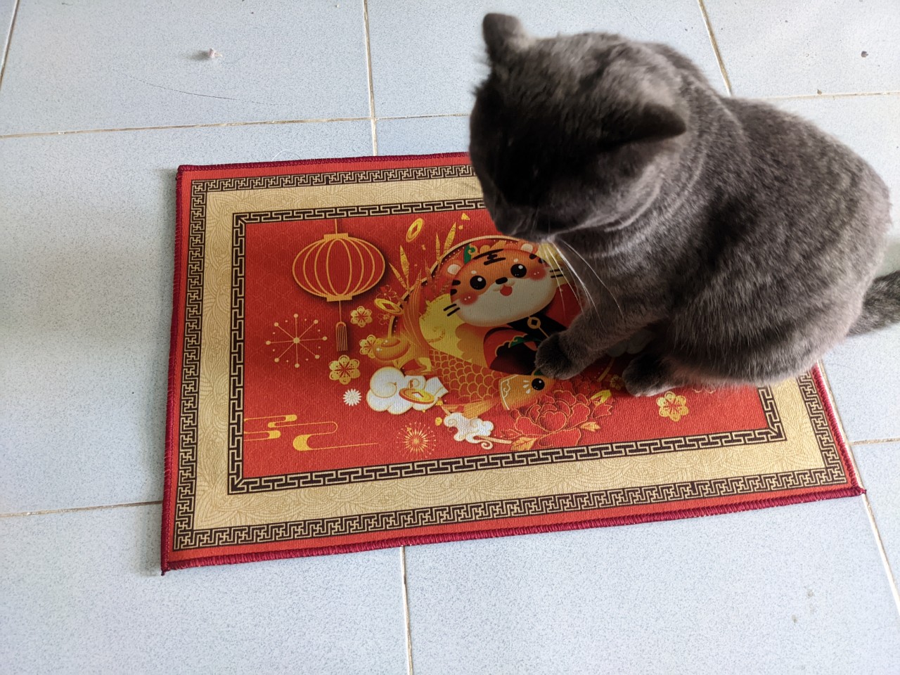 Thảm chùi chân Tết - Thảm lau chân - Thảm chân san hô - Thảm chùi chân bali 40x60cm chống trơn trượt