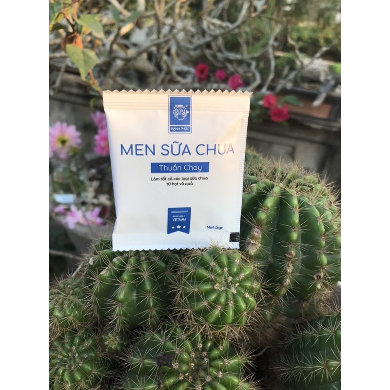 Men sữa chua thuần chay