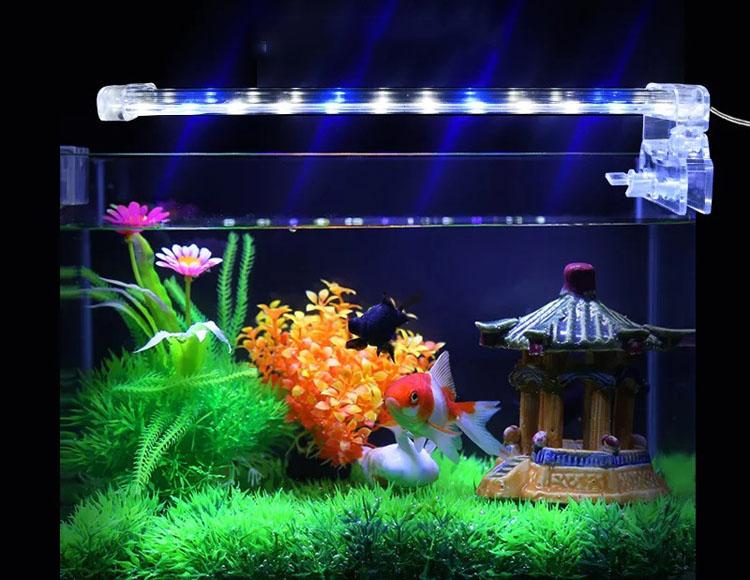 Đèn LED D40 Lắp Cho Bể Cá - Đèn Led Trang Trí - Thiết Kế Gọn Nhẹ-Tinh Tế-Tạo Ra Ánh Sáng Tuyệt Đẹp Trong Không Gian Bể Cá Trang Trí-Đang Được Ưu Đãi 50%