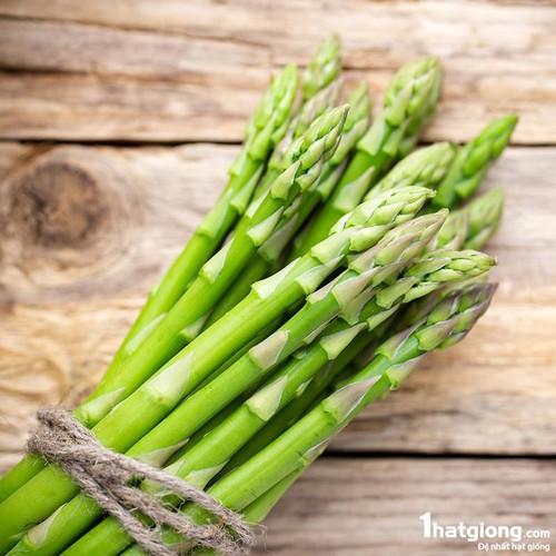 Hạt giống măng tây Xanh Mỹ 20 hạt/gói - ( TẶNG gói kích thích hỗ trợ hạt nảy mầm)