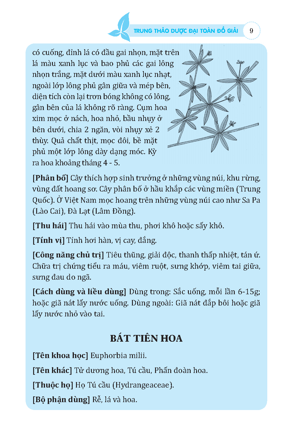 Trung thảo dược đại toàn (đồ giải)