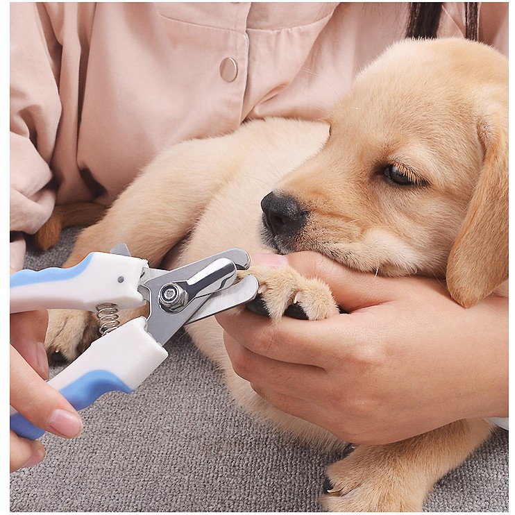 ✂️ KÌM BẤM MÓNG (KÈM DŨA) CHO CHÓ MÈO ✂️