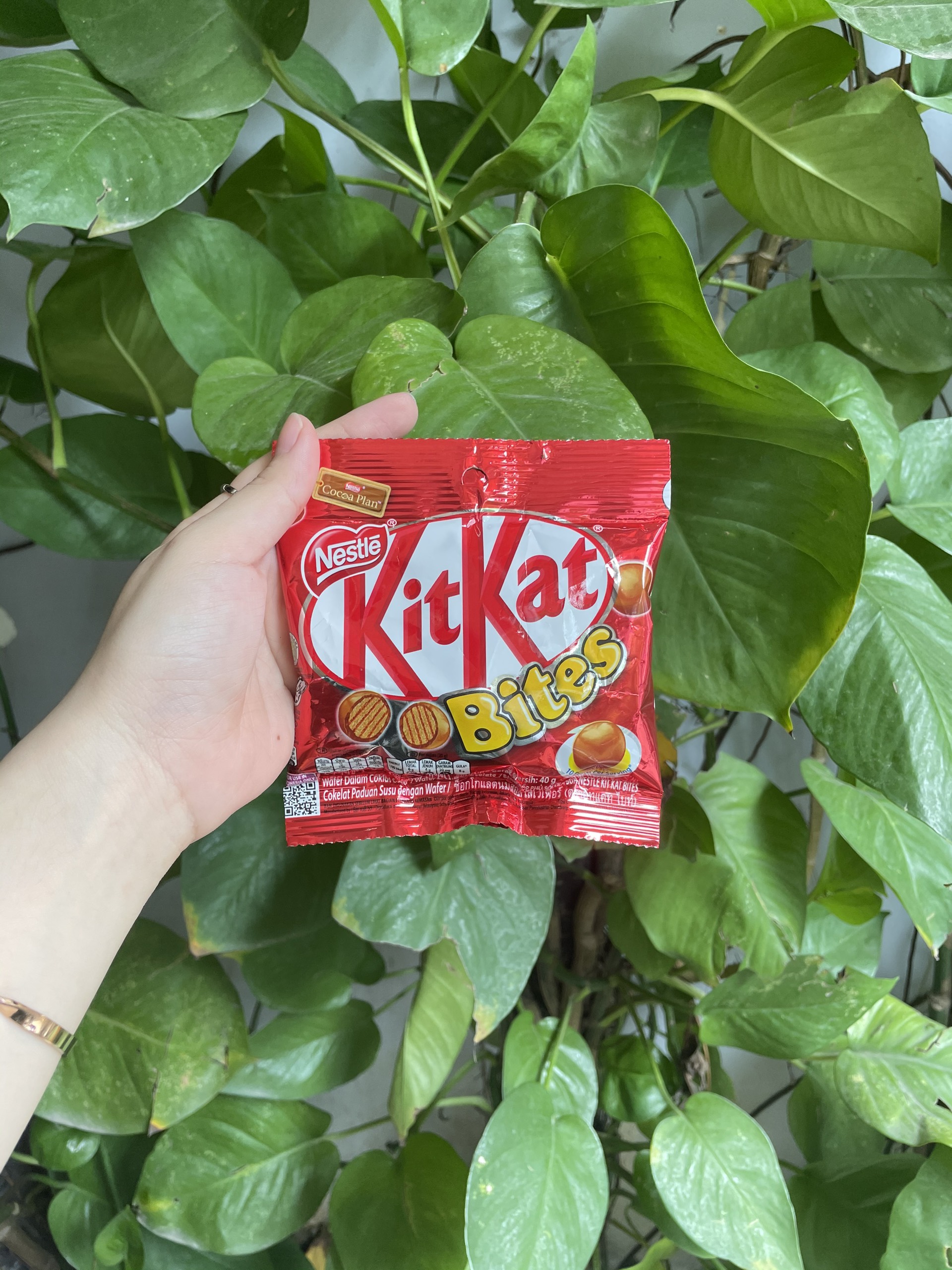 Nestlé Kitkat Bites Chocolate (40g Pack)