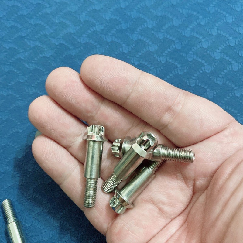 Ốc Salaya Tay Thắng Các Dòng Xe