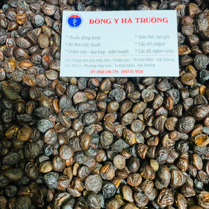 100g Hạt Dổi Rừng (Hạt Dổi Nếp Tây Bắc)