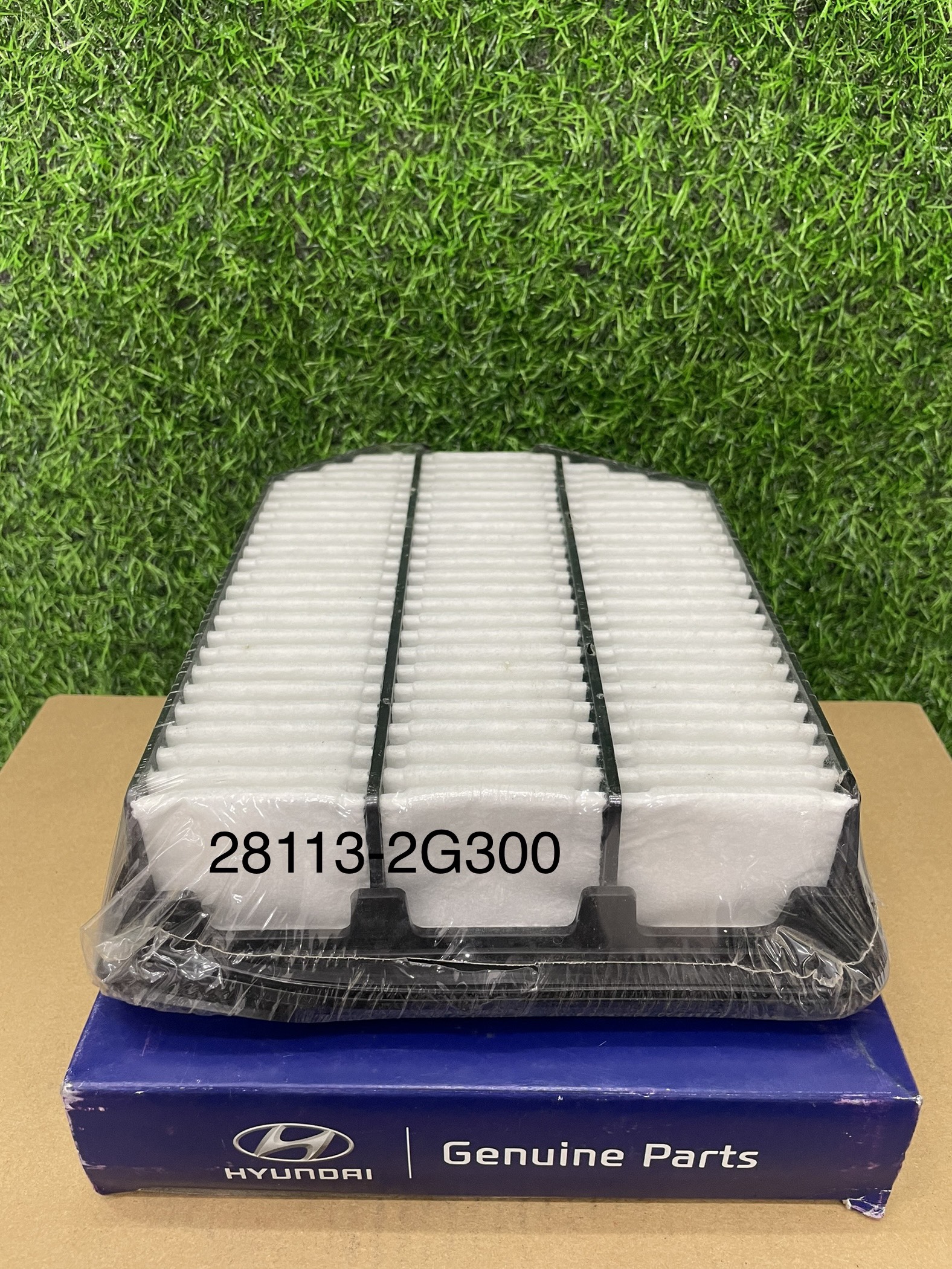 Lọc gió động cơ Kia Carens (máy dầu, Diezel) (Mã: 28113-2G300)