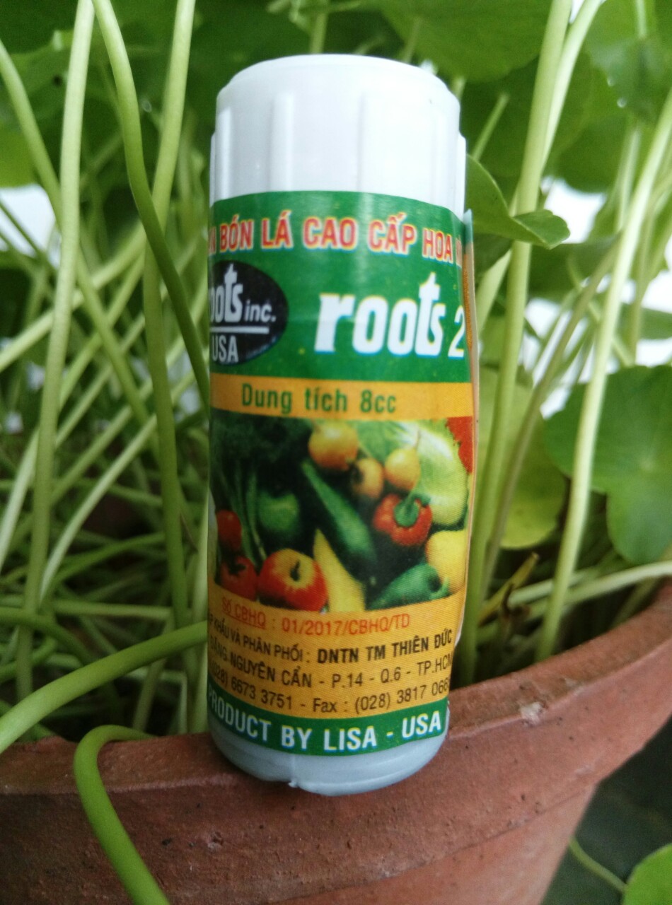 Kích rễ cao cấp của hoa kỳ Root roots2