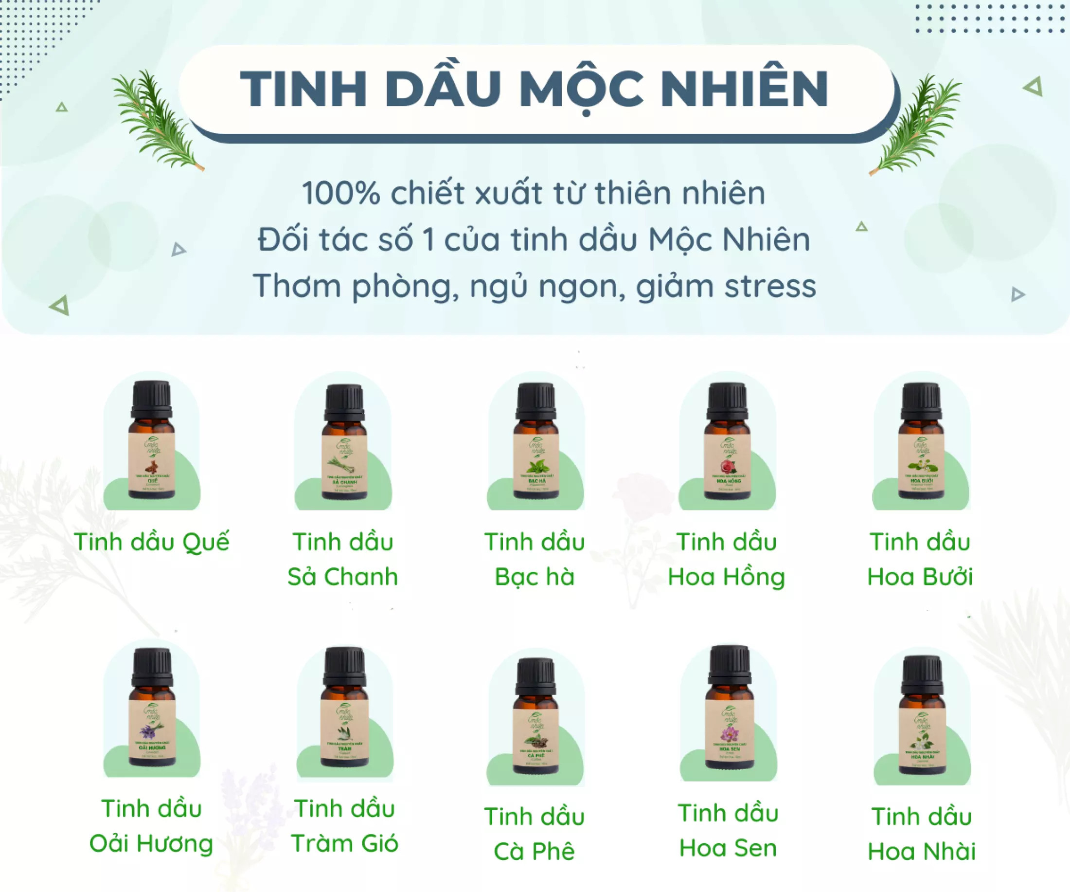 ComBo 3 Lọ Tinh Dầu Thiên Nhiên Chanh Sả , Quế , Bạc Hà
