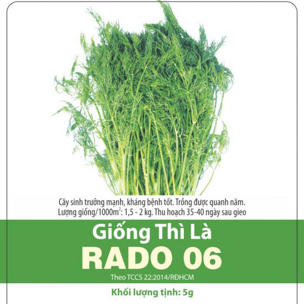 Hạt Giống Thì Là Rado 06