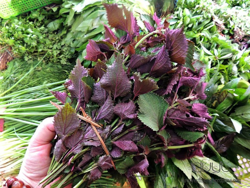 Hạt Giống Cây Rau Tía Tô - ( 2gr/gói )