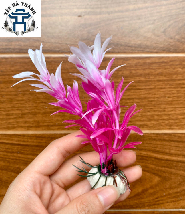 Cây Nhựa Trang Trí Bể Cá Cảnh