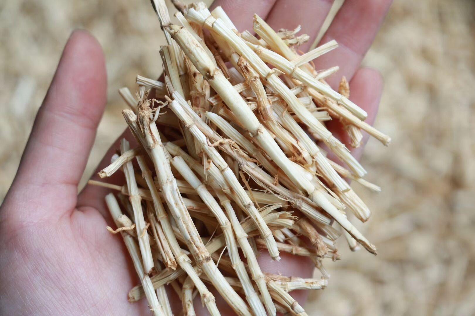 Rễ cỏ tranh khô 500gr - Tấn Phát