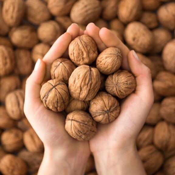 1kg óc chó sapa