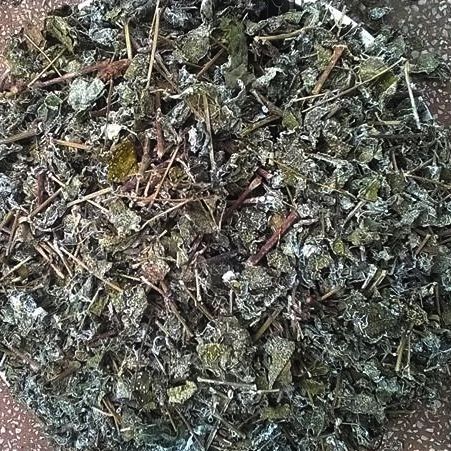 Chè dây 500g ch ữa b ệnh dạ dày GT337
