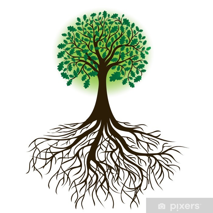 Root R7 - Super Acid Humic - Can 5 Lít