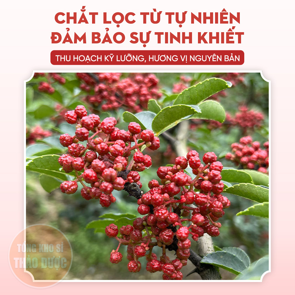 Sichuan Pepper 100g, Red Pepper, Dried, Pepper Flowers for Seasoning, Hot Pot - Herbal Wholesale Warehouse