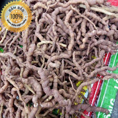 Ba kích tím | Ba kích tươi LOẠI 1